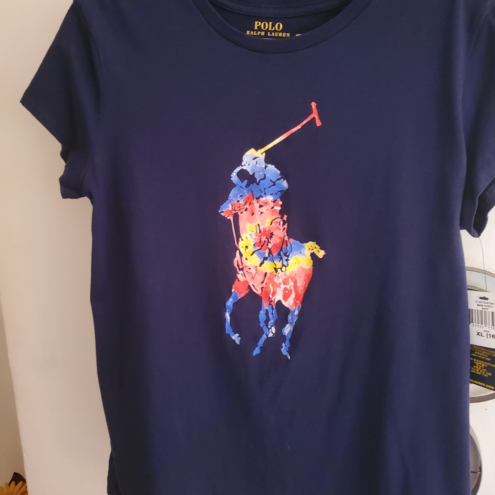Polo by Ralph Lauren Kids Blue Multicolor Graphic Tee